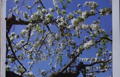 Pfarrblatt Sommer 2015                               