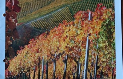 Pfarrblatt Herbst 2016